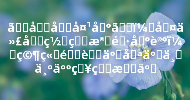 【刑囚夹印】：古代刑罚的残酷印记，究竟隐藏了哪些不为人知的故事