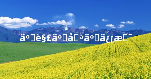 了解了哪些信息