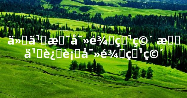 什么是寻龙点穴 怎么进行寻龙点穴