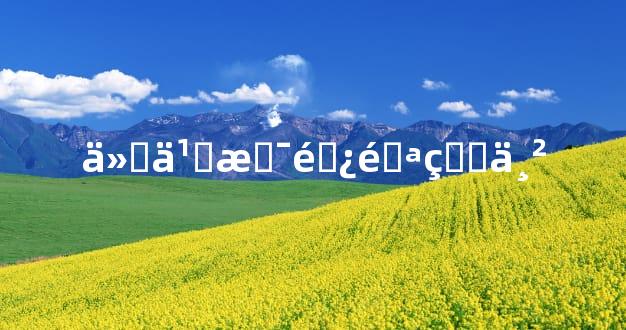 什么是避邪的串