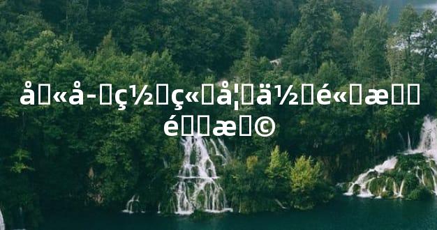 八字网站如何高效选择