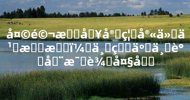 天马星入官禄宫什么意思，一生事业调动比较大吗