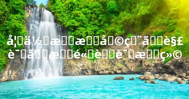 如何有效利用【解试】提高考试成绩