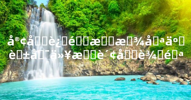 客厅过道摆放哪些花可以招财又辟邪