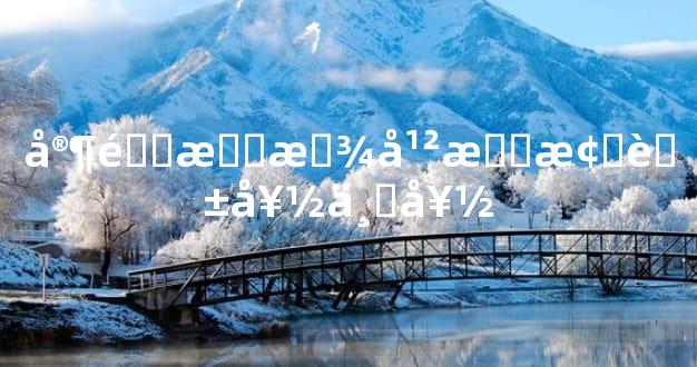 家里摆放干枝梅花好不好