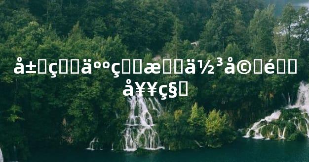 属狗人的最佳婚配奥秘