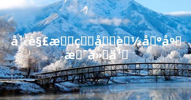 年解星的功能到底是什麽