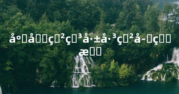 庚午甲申己巳甲子看懂