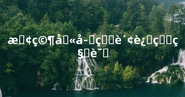 探究八字看财运的秘诀