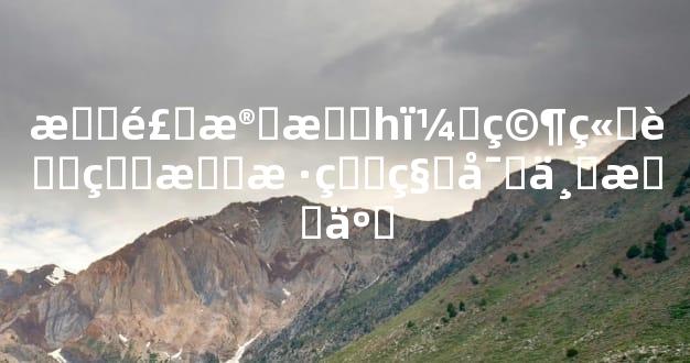 晓风残月h，究竟藏着怎样的秘密与故事