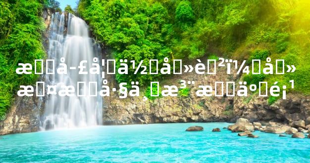 月季如何养育：养护技巧与注意事项