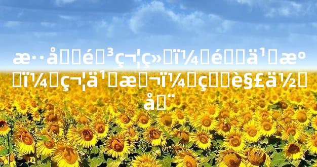 混元阳符经：道之源，符之本，真解何在