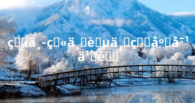 炉中火与葵丑的应对之道