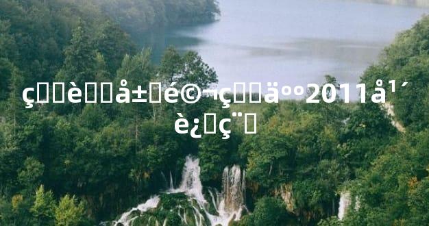 生肖属马的人2011年运程