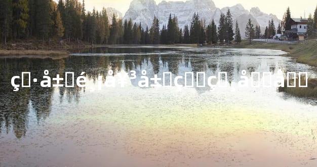 男属鸡女属狗相克吗