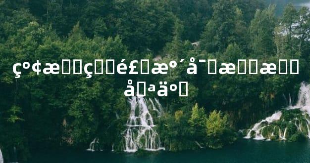 红掌的风水寓意有哪些