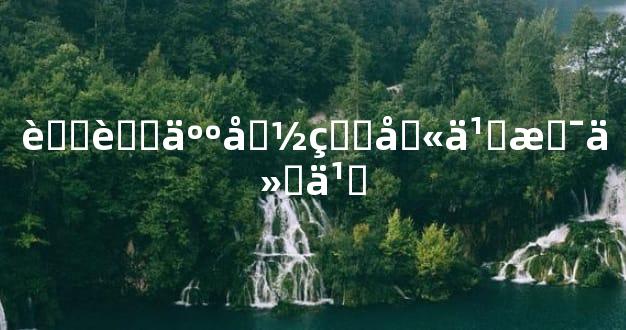 草菅人命的含义是什么