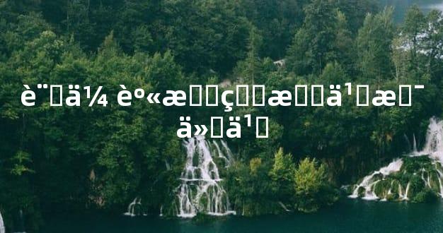 言传身教的意义是什么