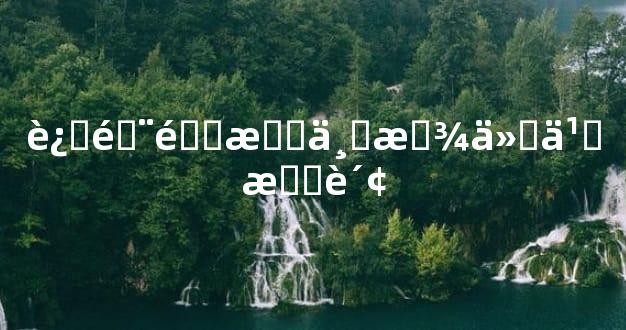 进门鞋柜上放什么招财