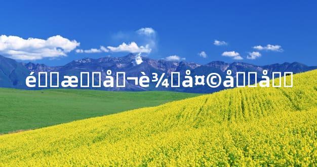 道教召辛天君咒