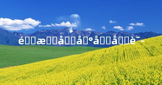 道教土地咒咒语