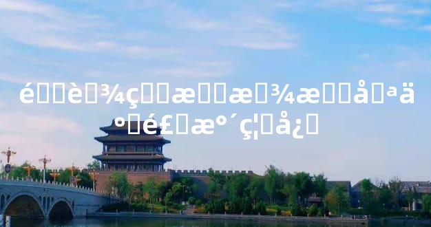 金蟾的摆放有哪些风水禁忌