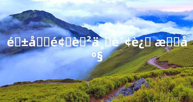 钱包颜色与财运 星座