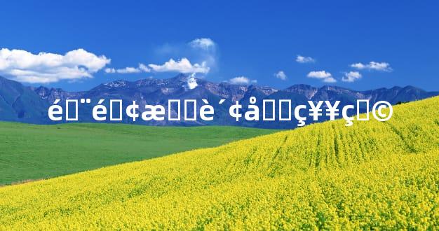 门面招财吉祥物