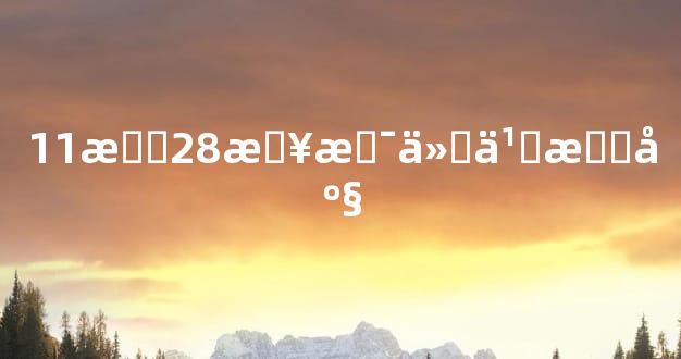 11月28日是什么星座