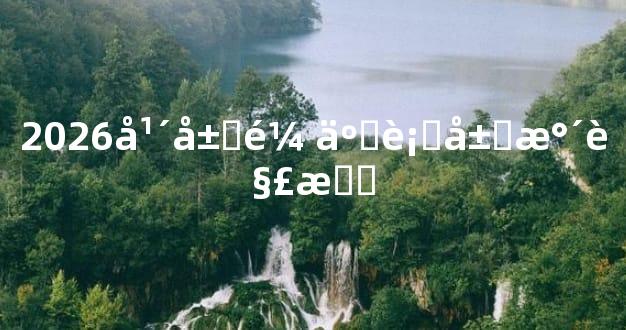 2026年属鼠五行属水解析