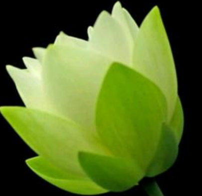 千万不要相信打胎没有报应这种说法